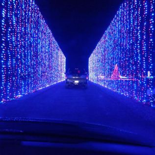 wall-of-lights